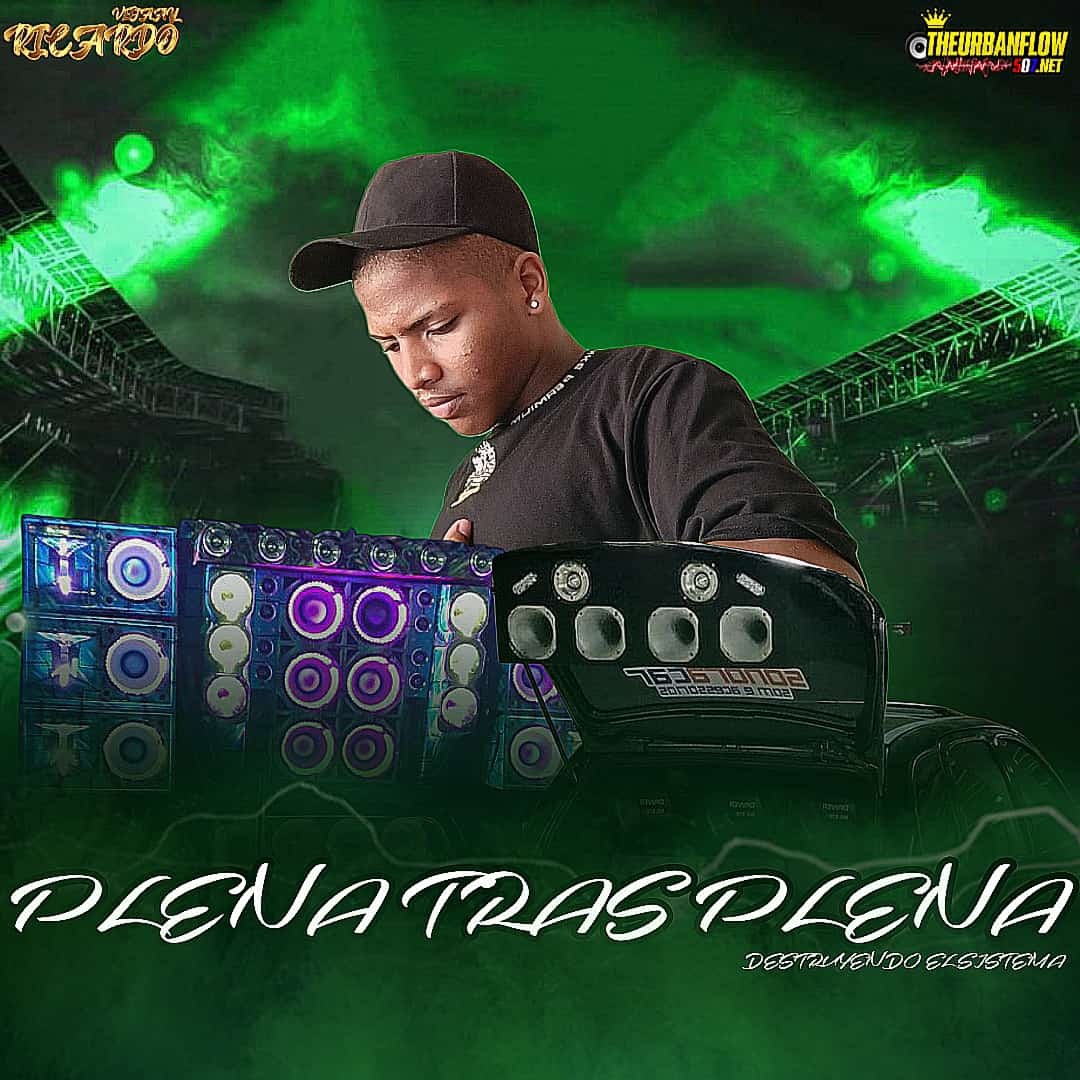 PLENA TRAS PLENA DESTRUYENDO EL SISTEMA - DJ RICARDO 